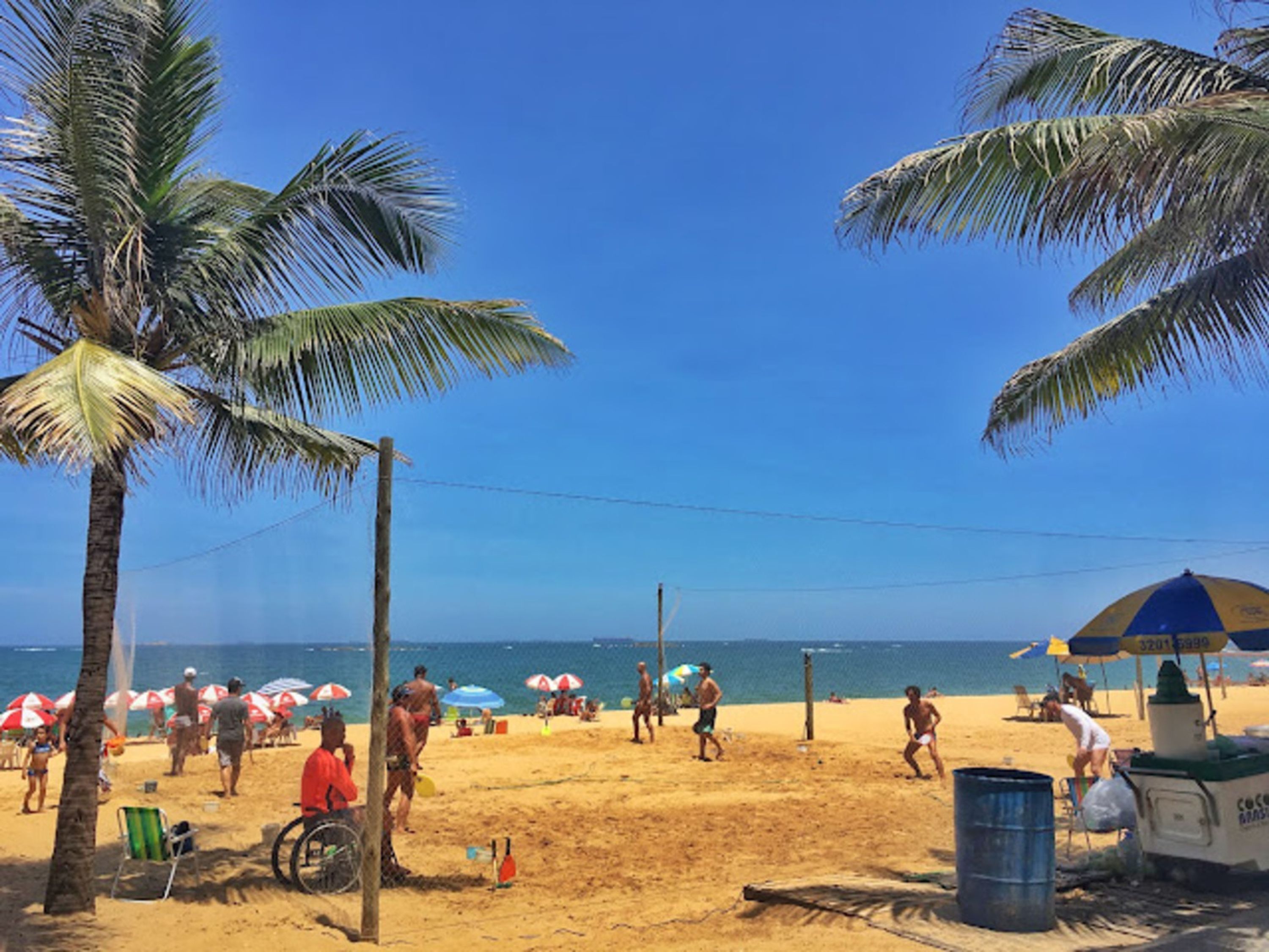 Uma praia com palmeiras, guarda-sóis e pessoas.