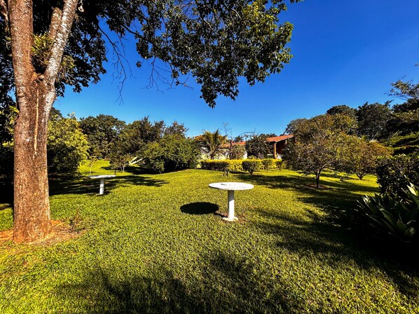A well-maintained garden with a central white table, surrounded by lush green grass and various trees.