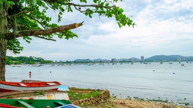 A waterfront with boats docked, a tree, and a cityscape in the background. - Apto pr Ximo do mar e do Beto Carrero World (Penha)