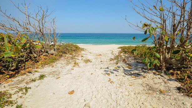 A sandy beach path leading to the ocean with sparse vegetation on either side. - Casa Beira-mar com Piscina em Saquarema RJ (Saquarema)