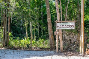 Ein Schild mit dem Text „Recreio dos MACACOS“ und der Nummer „38“ in einer natürlichen Umgebung mit Bäumen und einem Zaun.