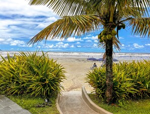 Un sentiero che conduce a una spiaggia con palme e ombrelloni.
