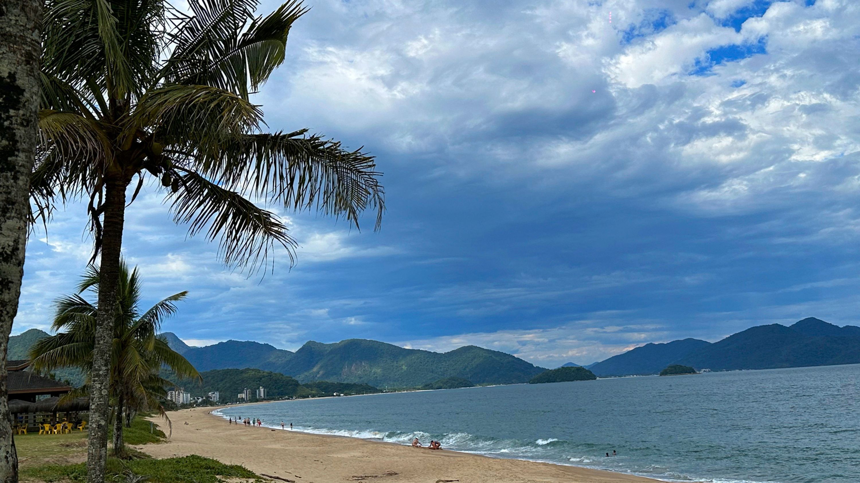 Uma praia com palmeiras, areal e montanhas ao fundo.
