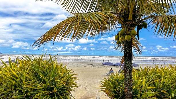 Un sentier qui mène à une plage bordée de palmiers et parsemée de parasols.
