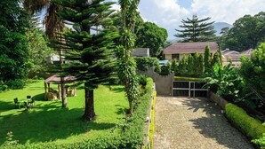 A garden with a stone pathway leading to a building with a tiled roof. - 5-bedroom bed & breakfast in charming Arusha with WiFi (Arusha)