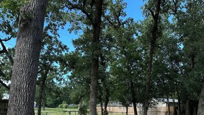 A wooden deck with a fire pit surrounded by gravel, set in a grassy area with trees. - Pinewoods Hideaway – Quiet Comfort Near It All (Spring)
