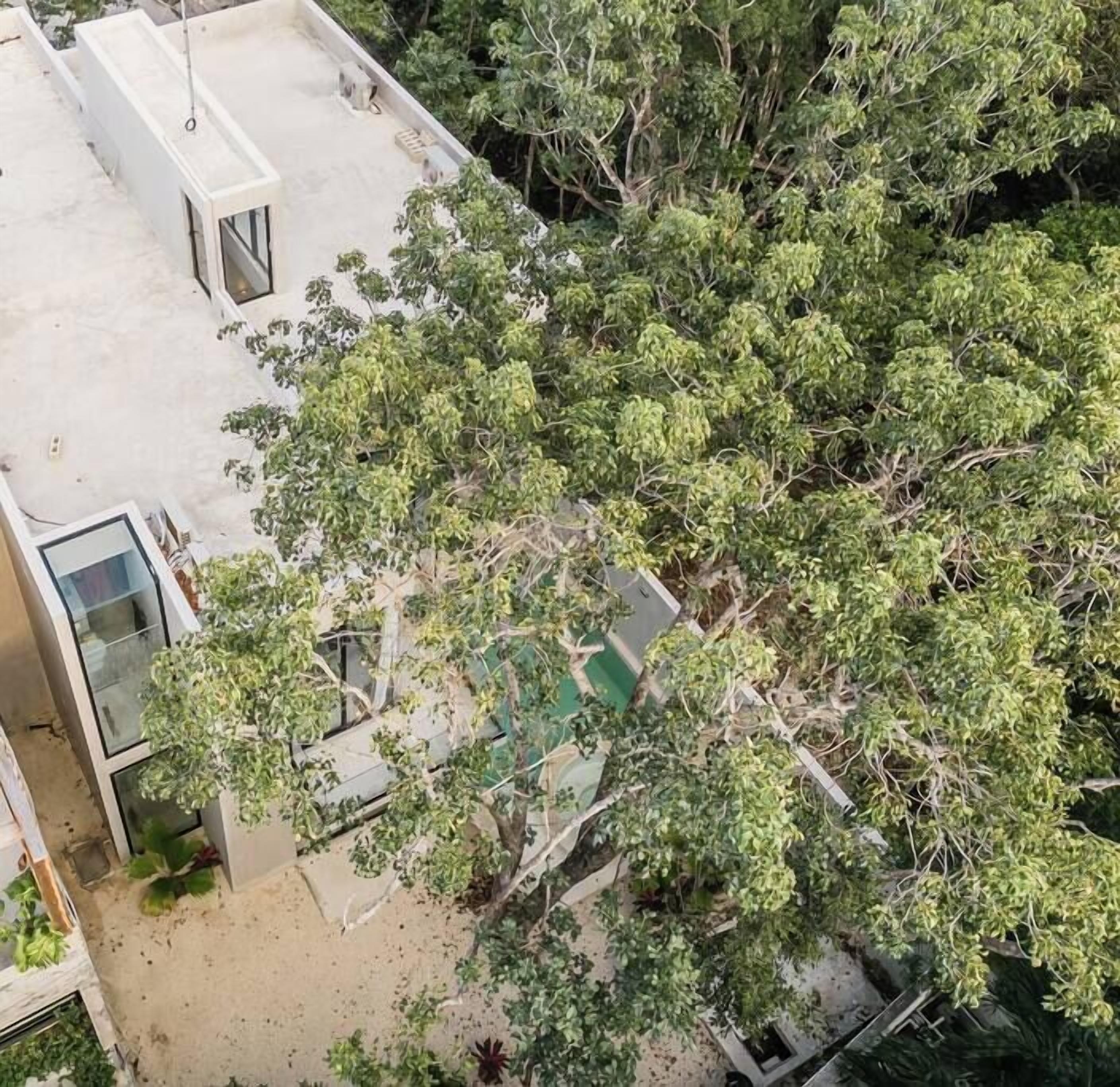 Foto - Casa Leto - M11