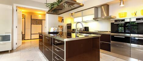 Una cocina moderna con una isla central, electrodomésticos de acero inoxidable y una planta colgante.