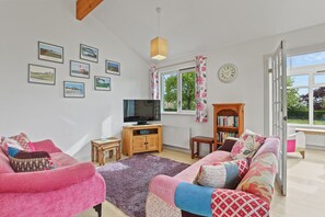 TV connectée, lecteur de DVD, livres