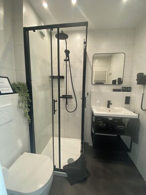 Shower, hair dryer, toilet paper