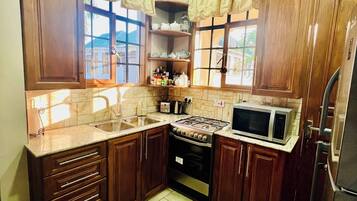 Microwave, oven, stovetop, blender