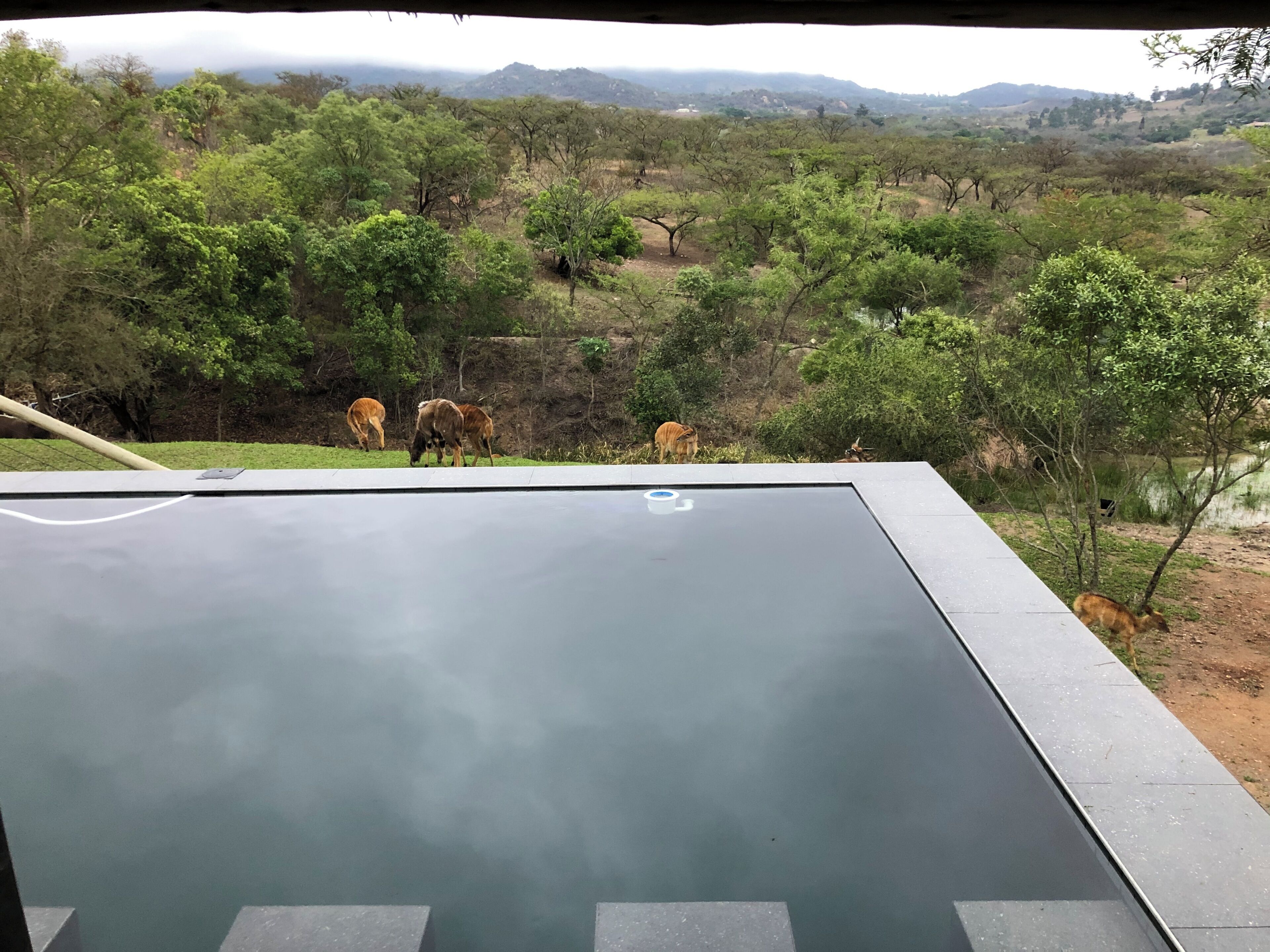 A view from a balcony overlooking a natural landscape with trees and hills.
