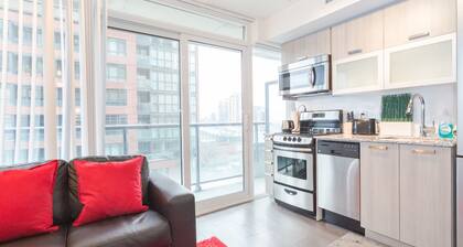 Newly Renovated Condo in Downtown Toronto