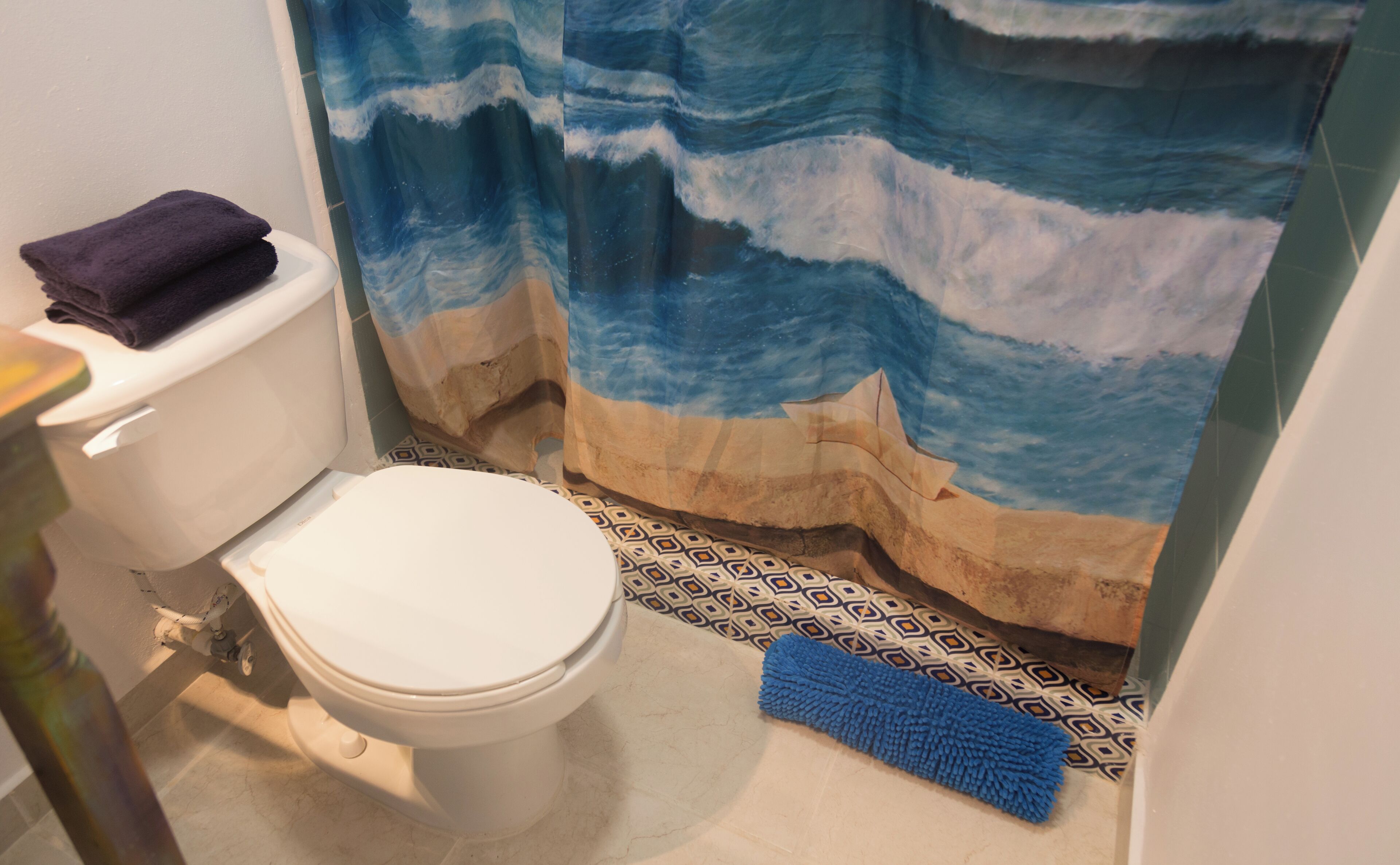 Une salle de bain avec des toilettes, un rideau de douche bleu et un tapis de bain bleu.
