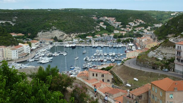 A coastal town with a marina filled with boats, surrounded by terraced houses and greenery.