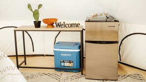 A compact kitchenette with a stainless steel refrigerator, a blue Igloo cooler, a welcome sign, and a cactus plant.