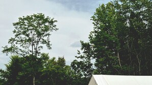 A row of white tents with arched windows, set on a grassy field with trees in the background.