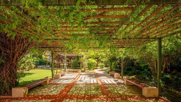 Un jardín cubierto con suelo estampado, bancos y abundante vegetación.
