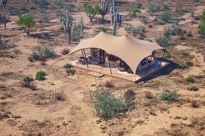Exterior - Tent Ocotillos - occupancy near Saguaro NP (Marana)