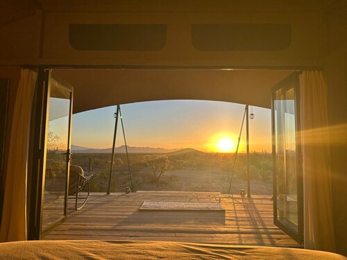 Tent Ocotillos - occupancy near Saguaro NP