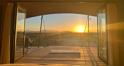 Tent Ocotillos - occupancy near Saguaro NP