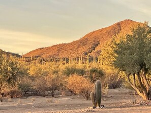 Miscellaneous - Tent Ocotillos - occupancy near Saguaro NP (Marana)