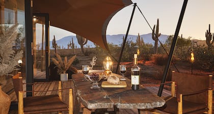 Tent Ocotillos