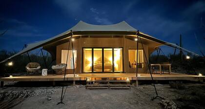 Tent Ocotillos - occupancy near Saguaro NP