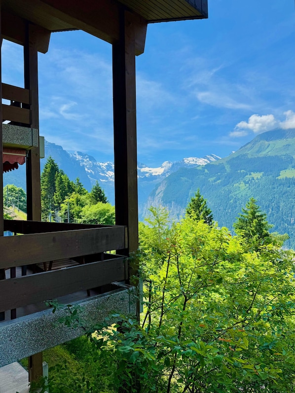 Property grounds - Chalet Primula 3 (Wengen)