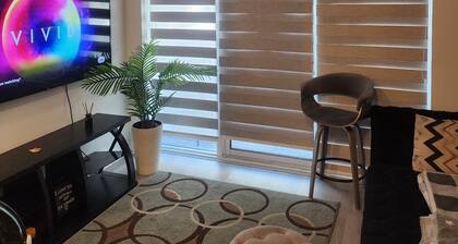 Cozy and Charming Apartment with a living room and bedroom in Brampton