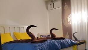 豪華雙人或雙床房