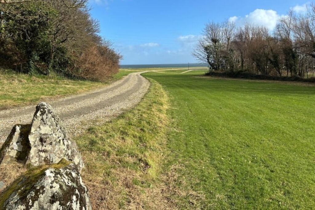 A gravel path leading to a grassy area with a large rock in the foreground.