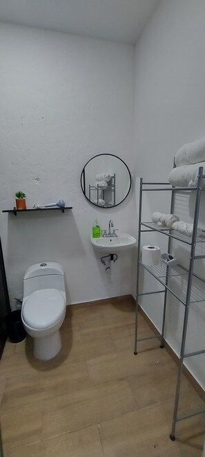 Chuveiro, secador de cabelo, toalhas de banho, sabonete