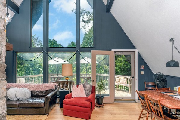 Smart TV, fireplace, DVD player, books