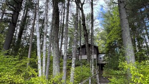 Una scala di legno conduce a una casetta sugli alberi in una foresta.