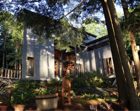 A modern house with large windows, surrounded by a garden with potted plants and a wooden chair.