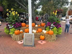 المنطقة المحيطة بالمنشأة