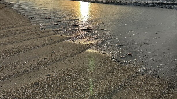 A beach with a sunset, waves, and footprints in the sand.