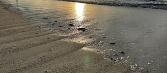 Bayside Bliss: Relax by the Bay, Just Minutes from Cape May!!