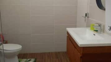 Shower, towels, toilet paper