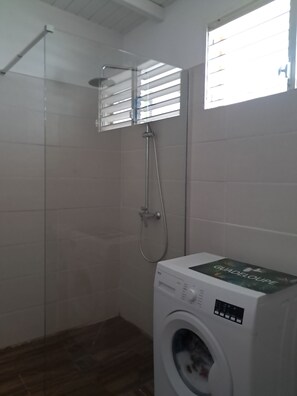 Shower, towels, toilet paper