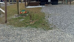 Een overdekte camperparkeerplaats met een 'Welcome'-bord, een 'Happy Camper'-bord en een 'Springdale' camper.
