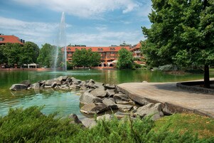 Vista desde la propiedad