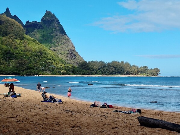 Strand
