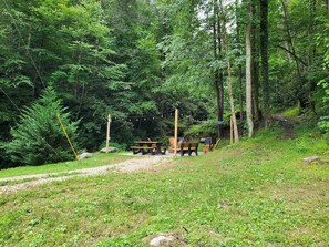 Ein bewaldetes Gebiet mit Picknicktischen und Grill, umgeben von dichten Bäumen und einem Feldweg.