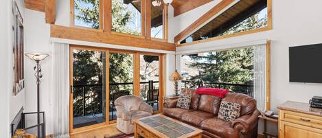 Tv, eldstad och en stereo