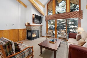 Télévision, cheminée, chaîne hi-fi