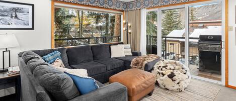 Télévision, cheminée, chaîne hi-fi