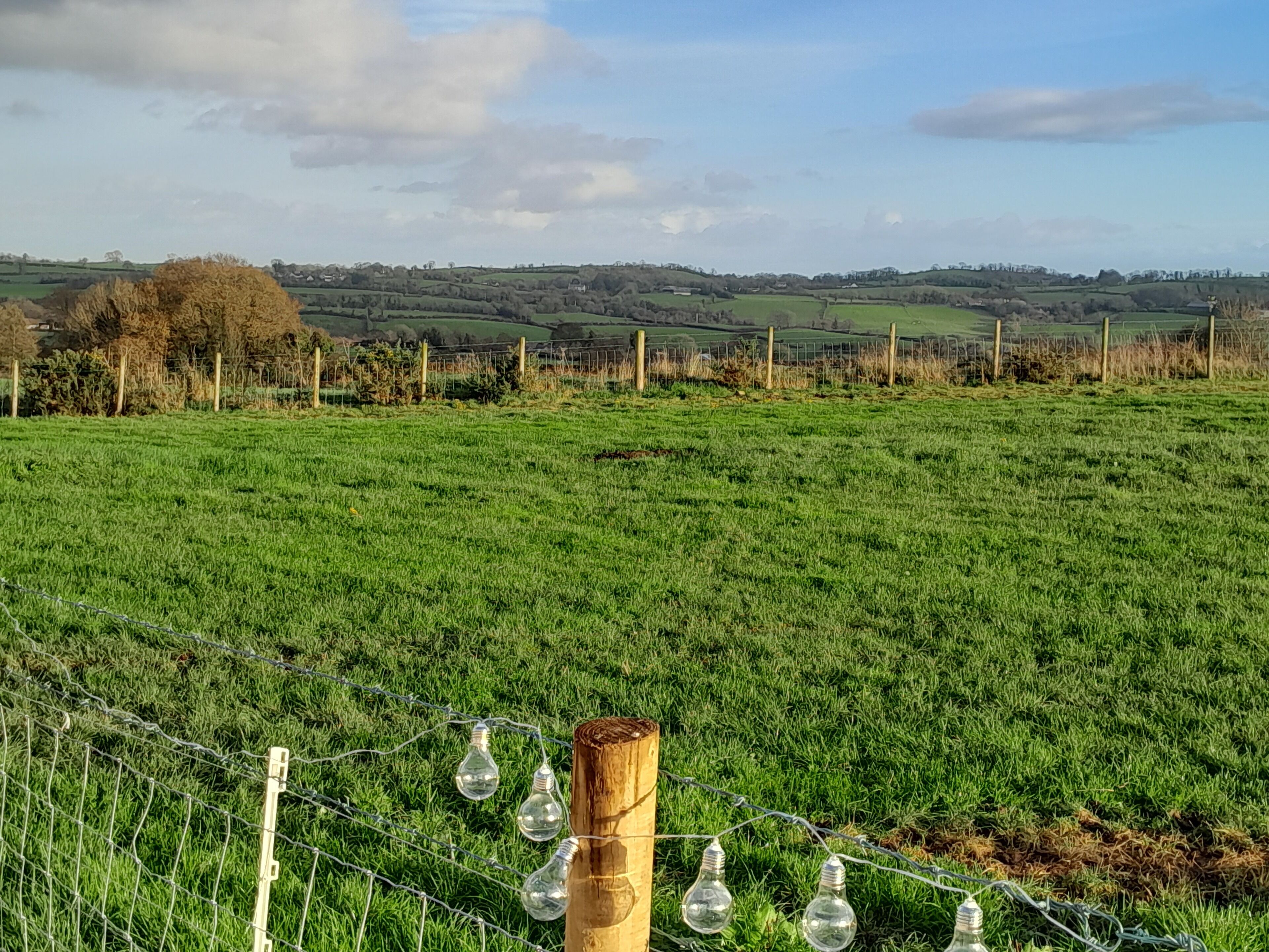 A grassy field with a wooden post and wire fence, and a string of light bulbs.