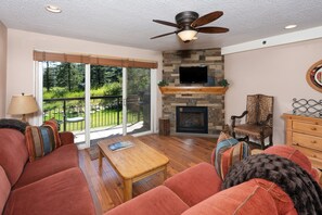 Télévision, cheminée, chaîne hi-fi